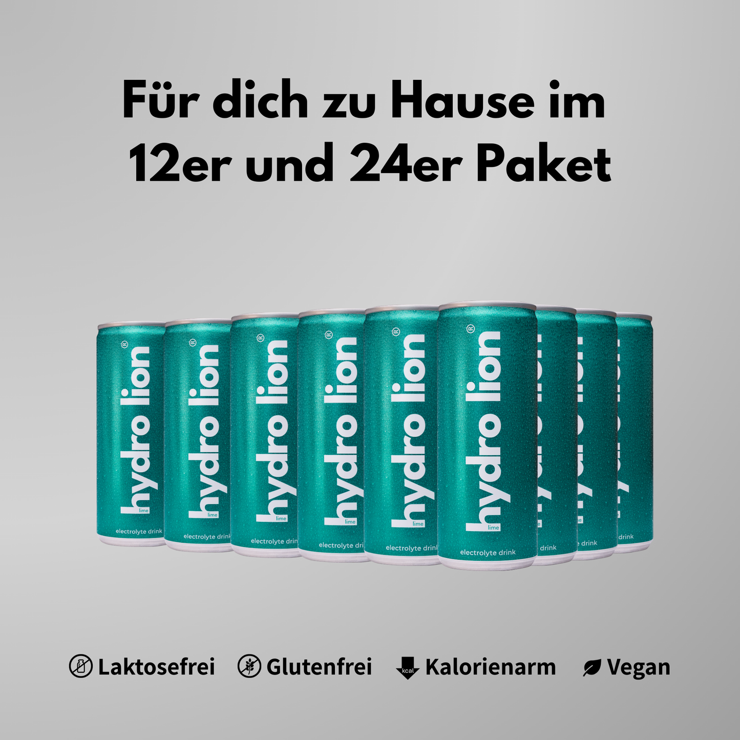 Coroniță de Crăciun Diametru 32 cm – Brad Artificial si Diverse Decoratii