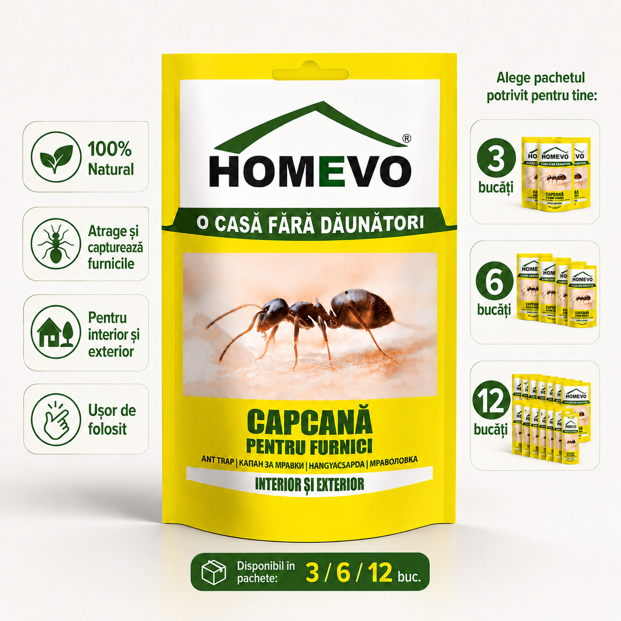 Set 3 Capcane Adezive pentru Furnici HOMEVO – Atractant Natural, Fără Insecticide, Interior și Exterior