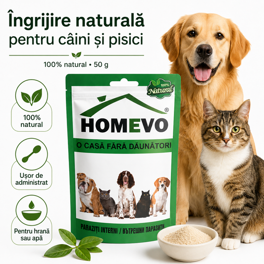 Pulbere Naturală pentru Susținerea Digestiei la Câini și Pisici, 50 g
