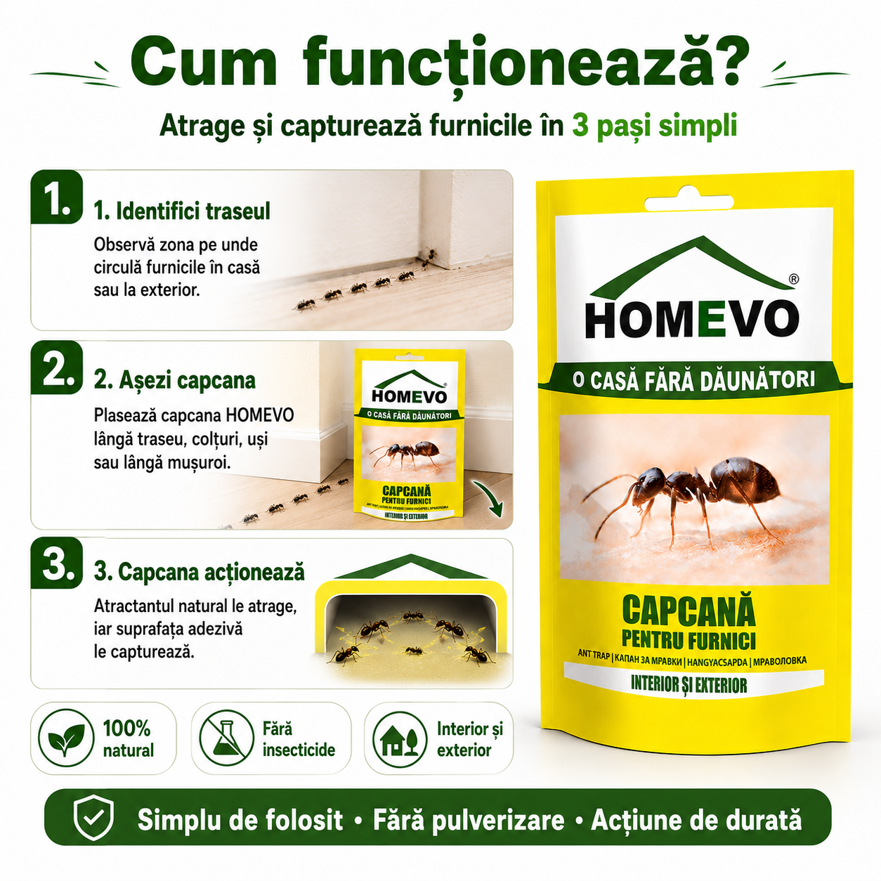 Set 3 Capcane Adezive pentru Furnici HOMEVO – Atractant Natural, Fără Insecticide, Interior și Exterior
