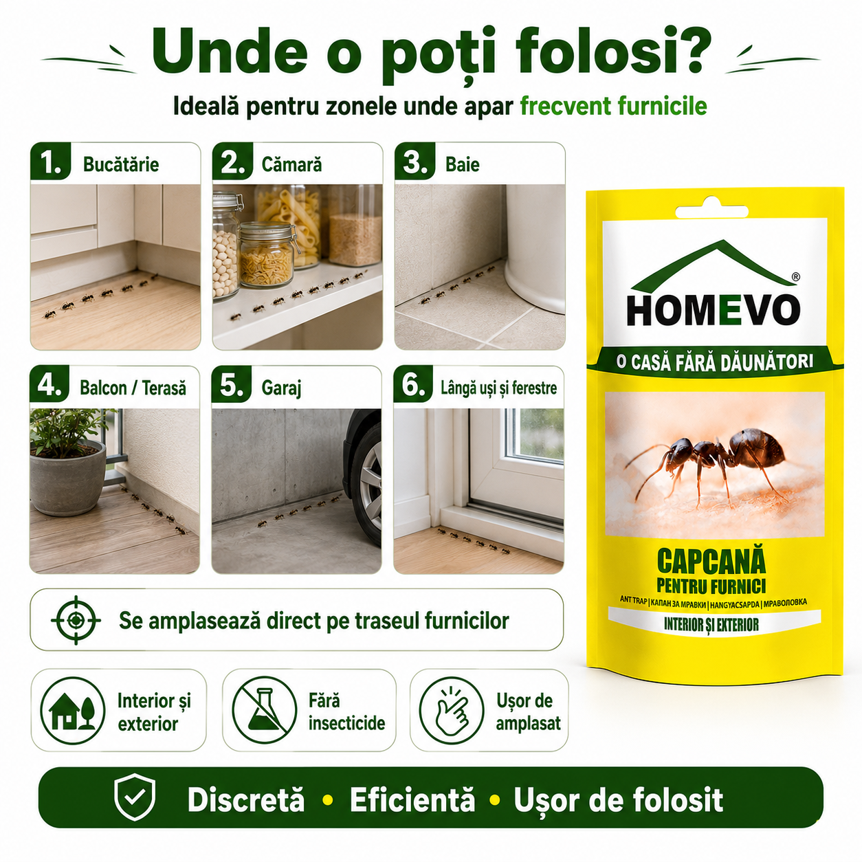 Set 3 Capcane Adezive pentru Furnici HOMEVO – Atractant Natural, Fără Insecticide, Interior și Exterior