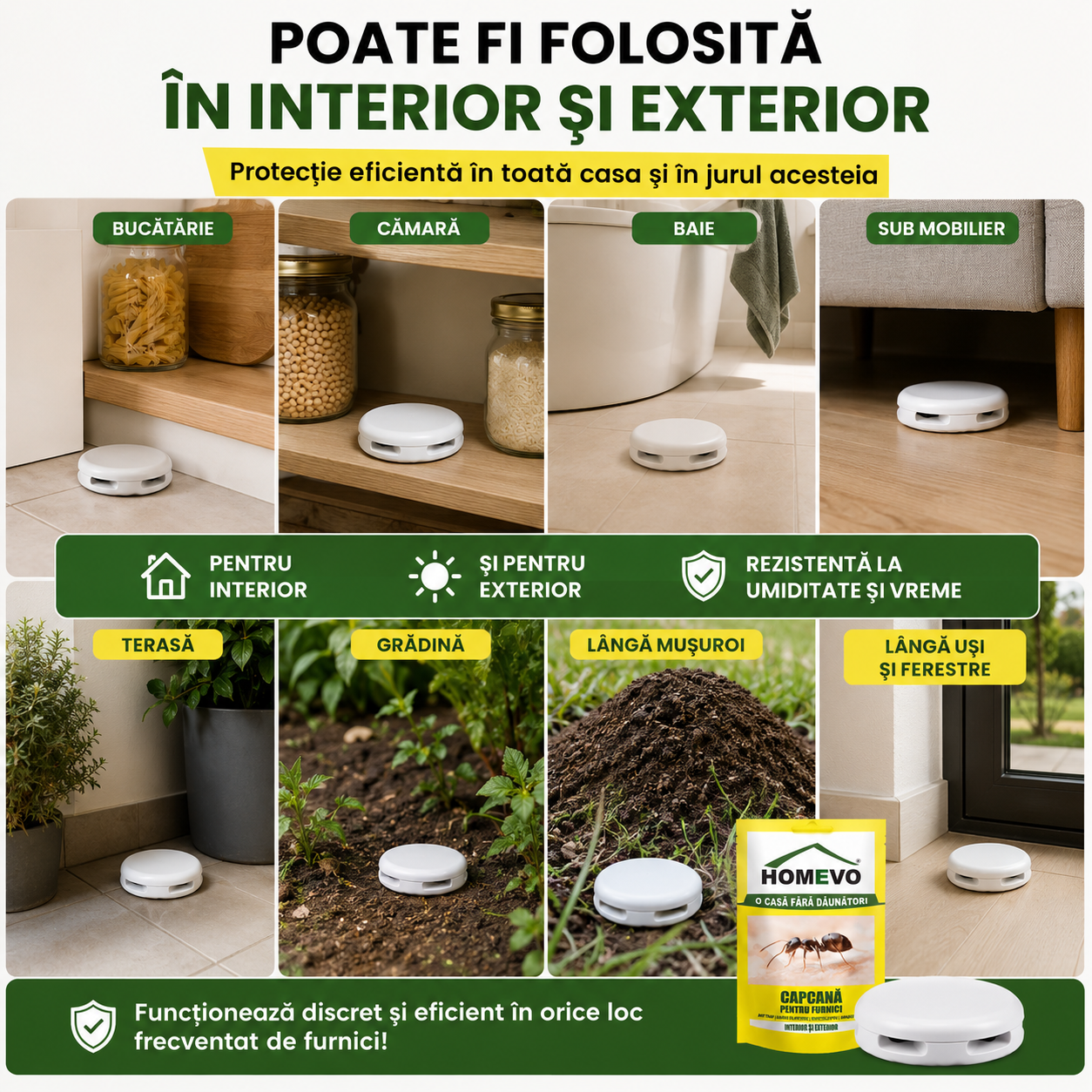 Set 3 Capcane Adezive pentru Furnici HOMEVO – Atractant Natural, Fără Insecticide, Interior și Exterior